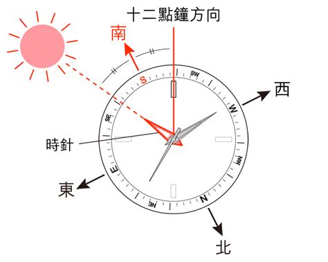 時錶定方位|如何將手錶用作指南針（以北半球為例） 